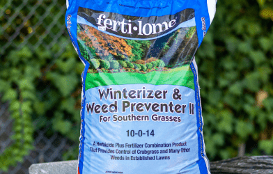 Prevent Winter Weeds