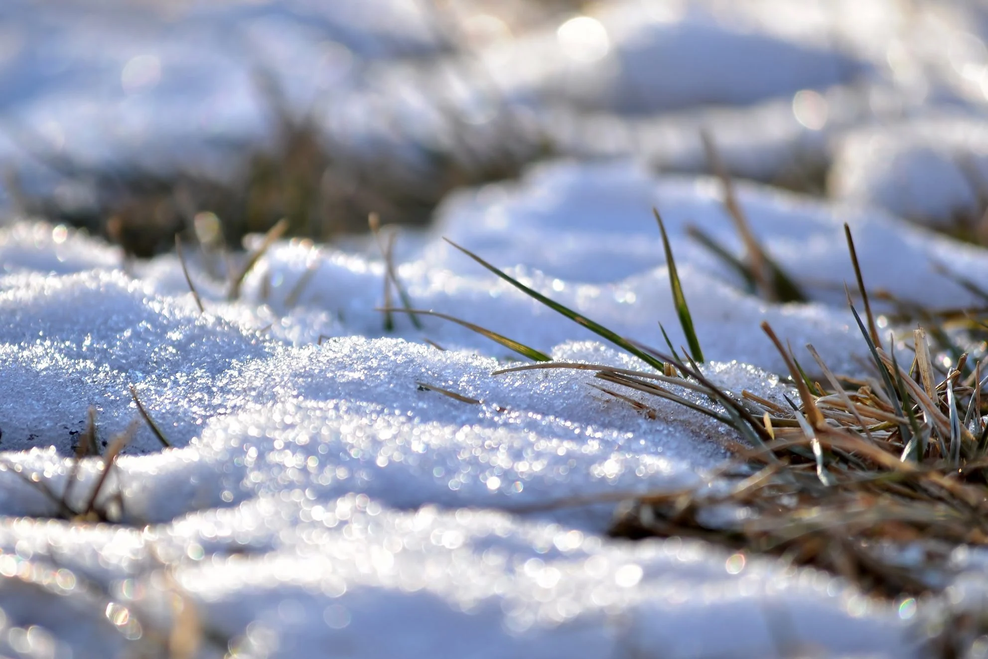 Close-up of patches of melting snow on grass, with some green and brown blades poking through the snow. The sunlight creates a sparkling effect on the icy surface.