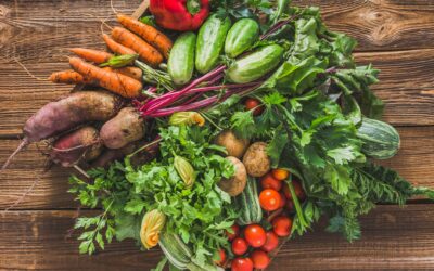 Fall Vegetable Gardening