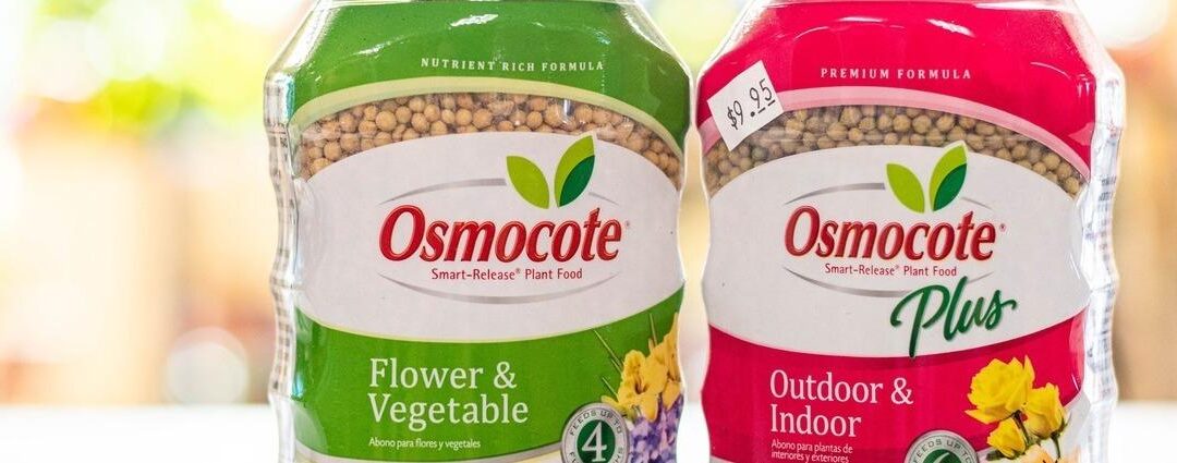 Summer Gardening Tips: Fertilization & Pest Control