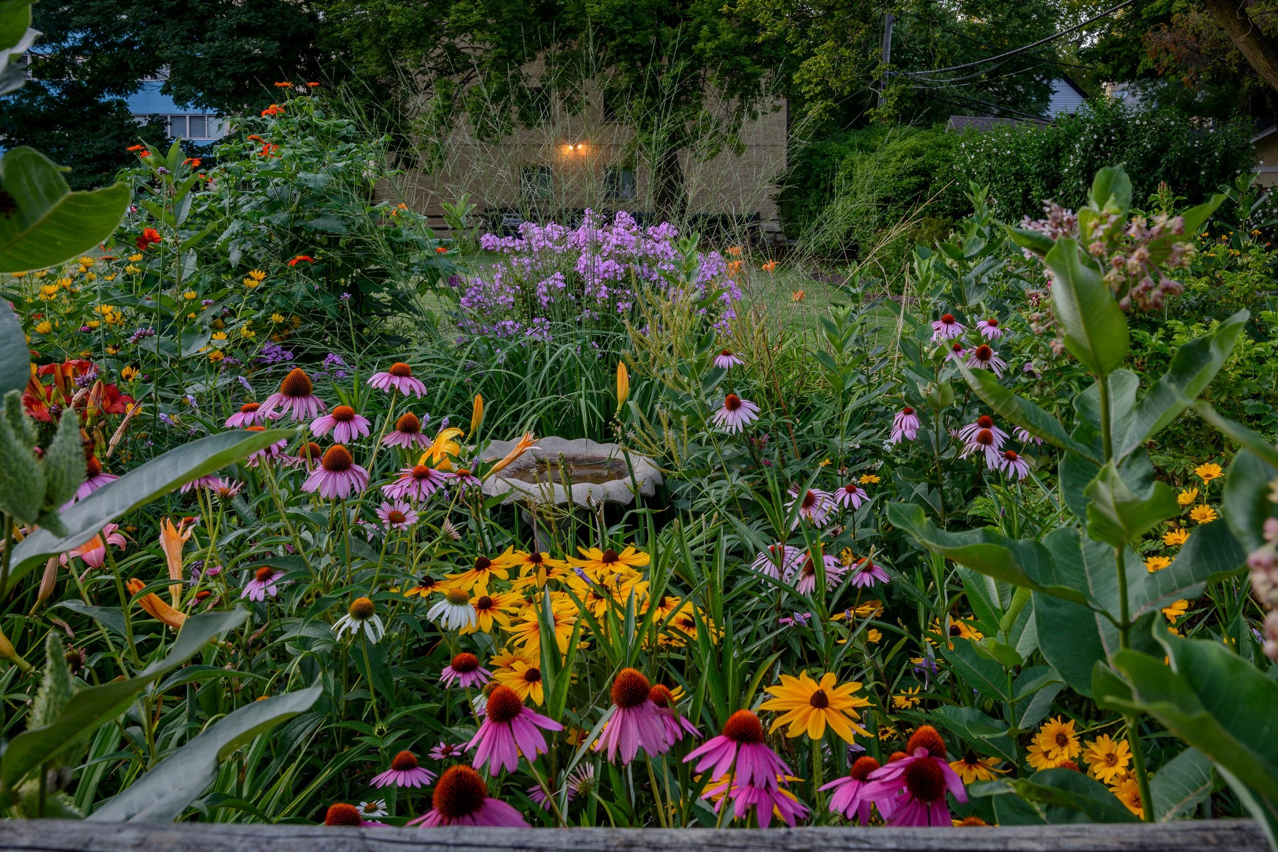 A lush garden filled with vibrant flowers, including purple coneflowers and yellow black-eyed Susans, surrounds a small stone birdbath in the center, with green trees and shrubs in the background.