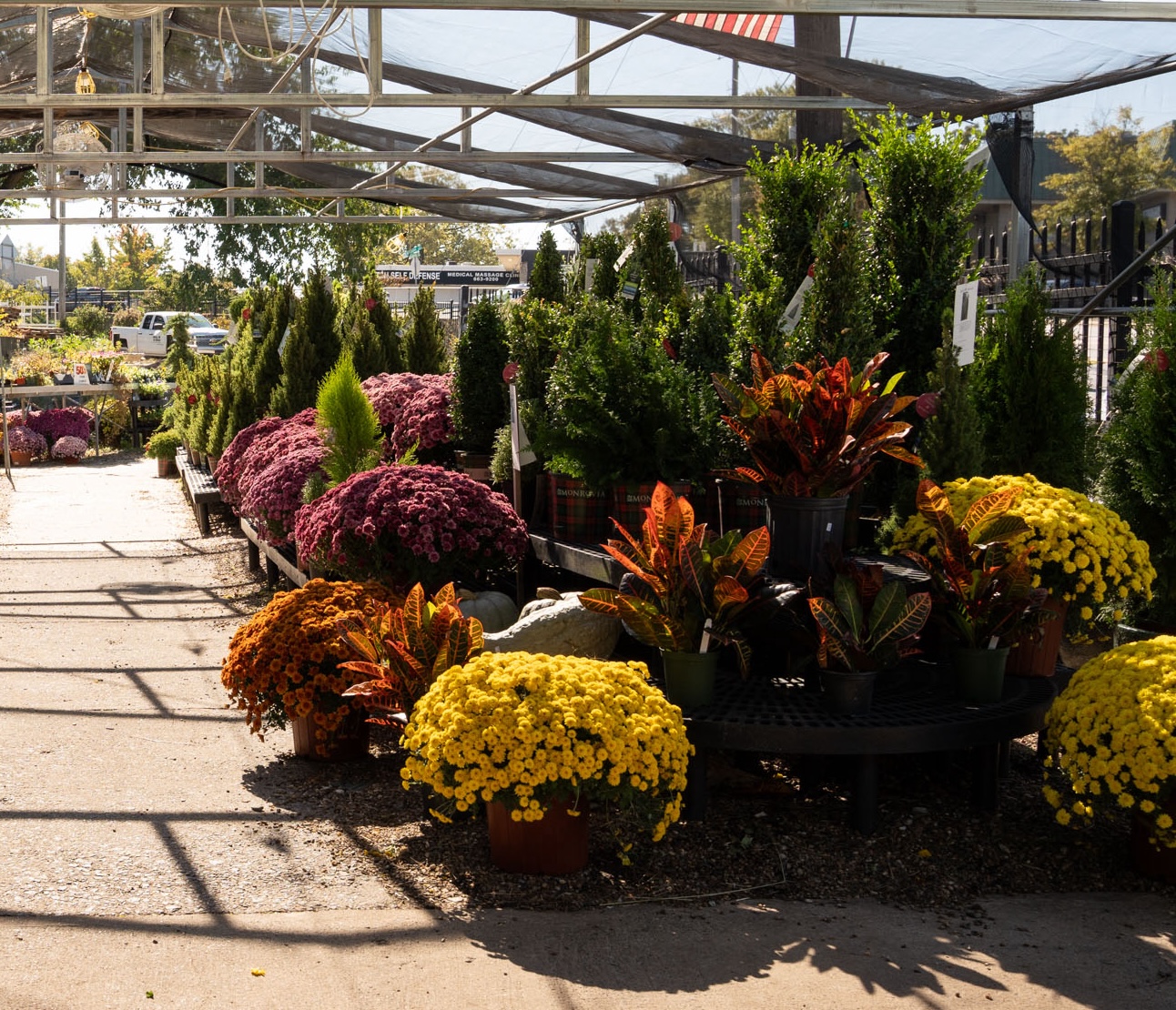 Potted flowers and shrubs, including yellow and purple mums, are arranged on display tables at an outdoor garden center under a shaded canopy, with sunlight casting shadows on the ground.