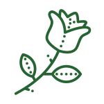 Simple green line drawing of a rose with two leaves on the stem, dotted accents on the petals and leaves, against a light gray background.