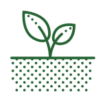 A simple green line drawing of a small plant with two leaves growing from soil, represented by a dotted pattern, on a light background.
